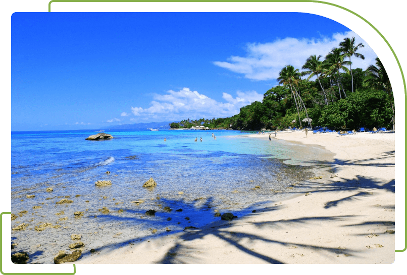 A beach with palm trees and people swimming in the water.